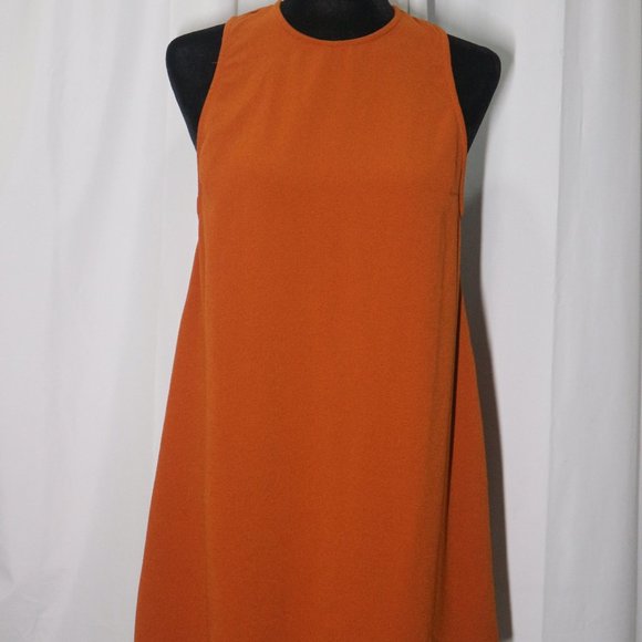 American Apparel Dresses & Skirts - American Apparel Shift Dress in Burnt Orange
